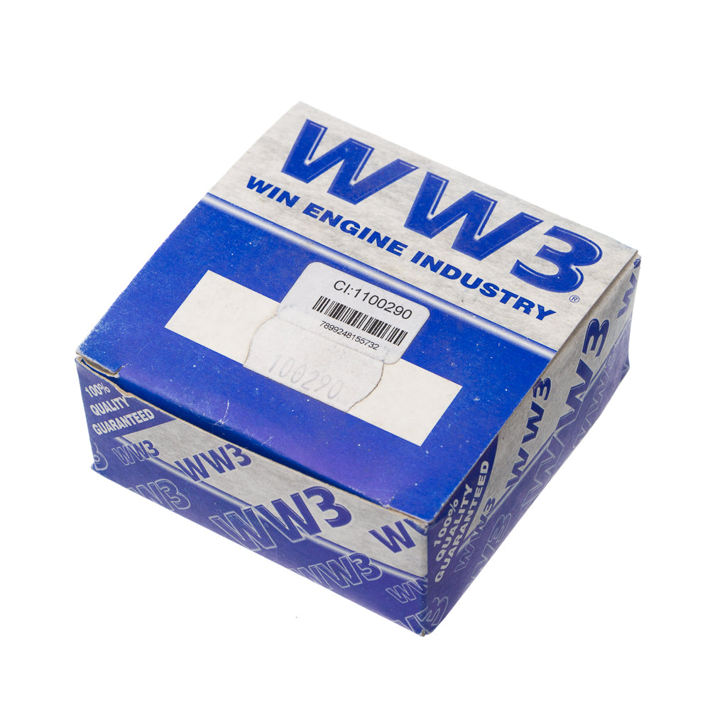 AVANCO DO MAGNETO WW3 TUR 125.