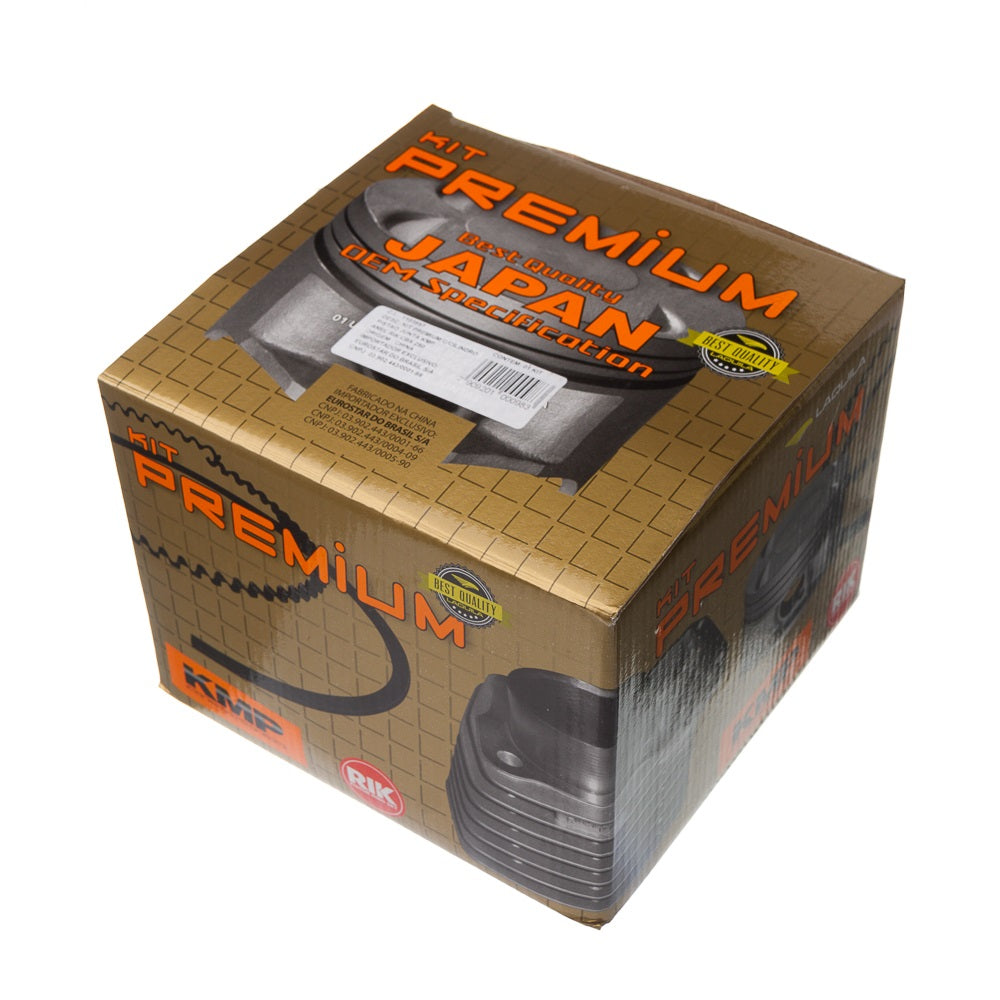 KIT PREMIUM C/CILINDRO PISTAO JUNTA KMP.ANEL RIK CBX 250 /08