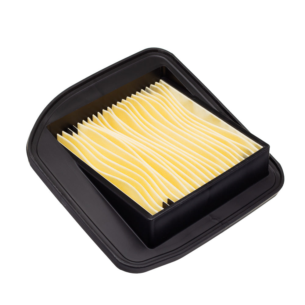 ELEMENTO FILTRO DE AR FRAM CG 125 00 A 08 (CA11418)