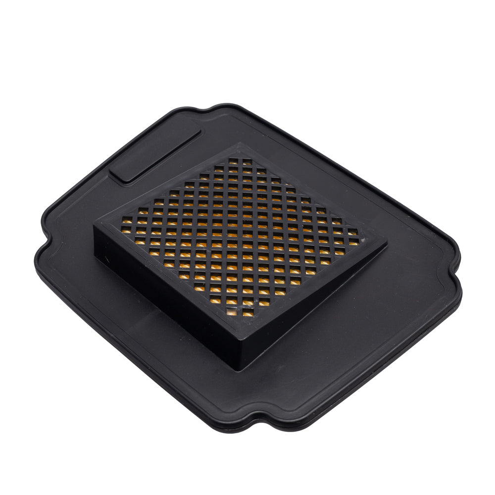 ELEMENTO FILTRO DE AR FRAM BIZ 125 11/ (CA12193)
