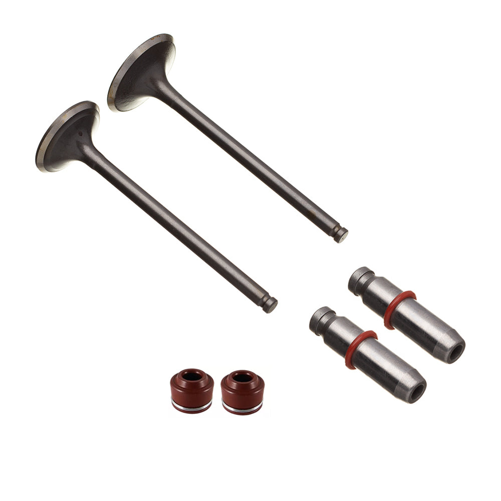 VALVULA GUIA E RETENTOR KIT (6PCS) WW3 CG 150 04/15