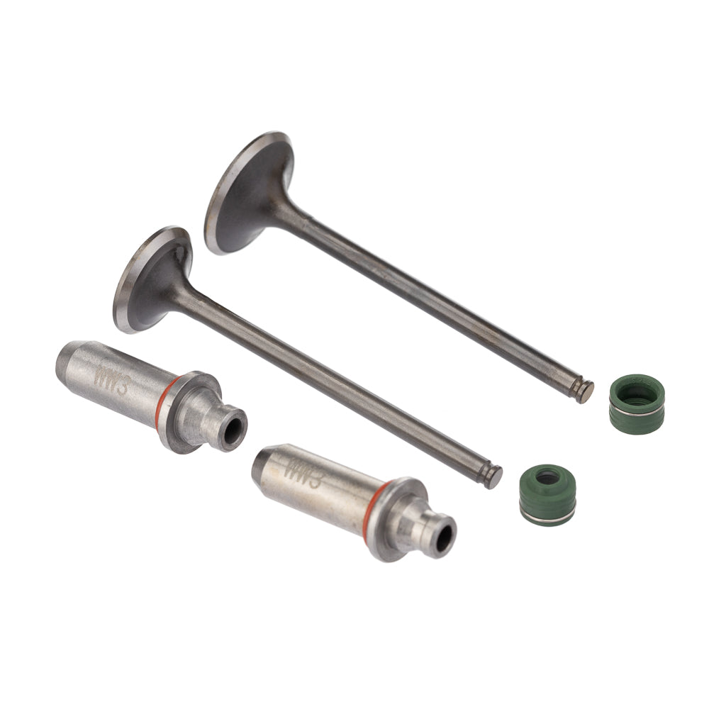 VALVULA GUIA E RETENTOR KIT (6PCS) WW3 CBX 250 01/08 RETEN. VERDE