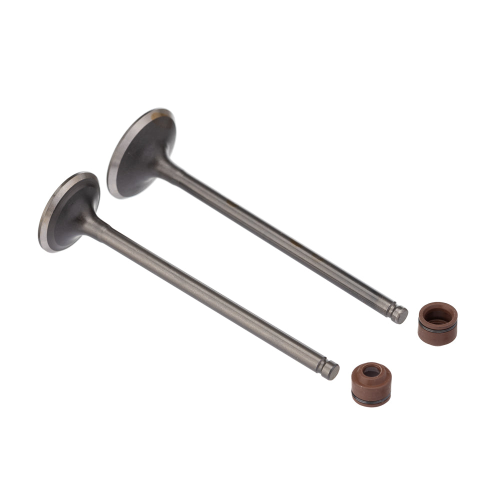 VALVULA E RETENTOR KIT (4PCS) WW3 CG 125 02/08 RET. MARROM