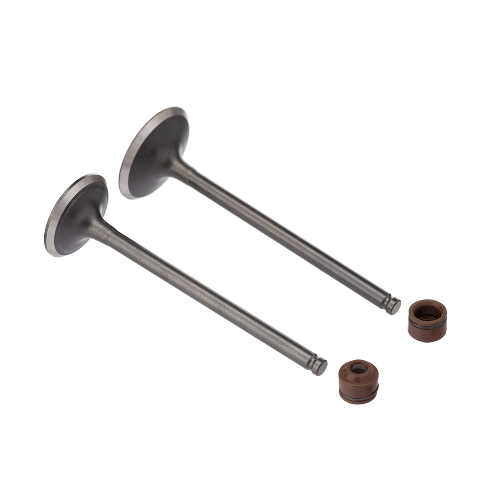 VALVULA E RETENTOR KIT (4PCS) WW3 CG 160 16/ RET. MARROM