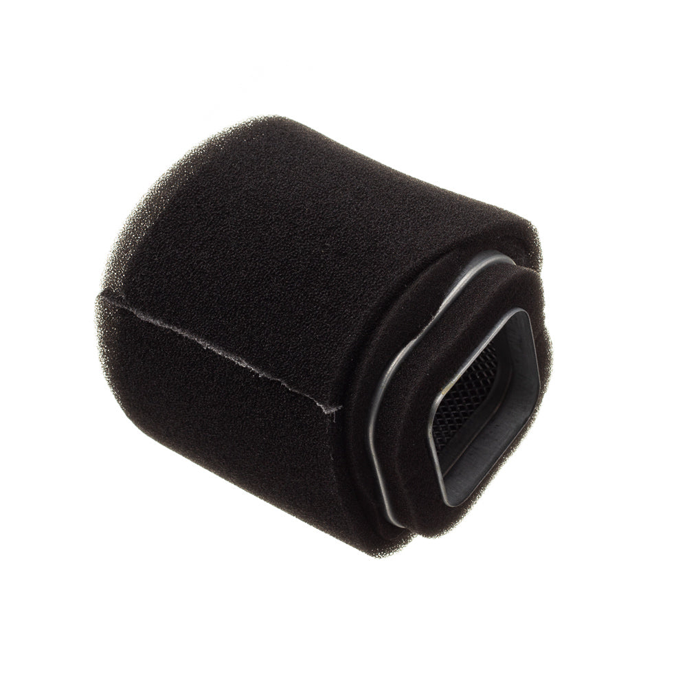 ELEMENTO FILTRO DE AR EKSIM YBR 125