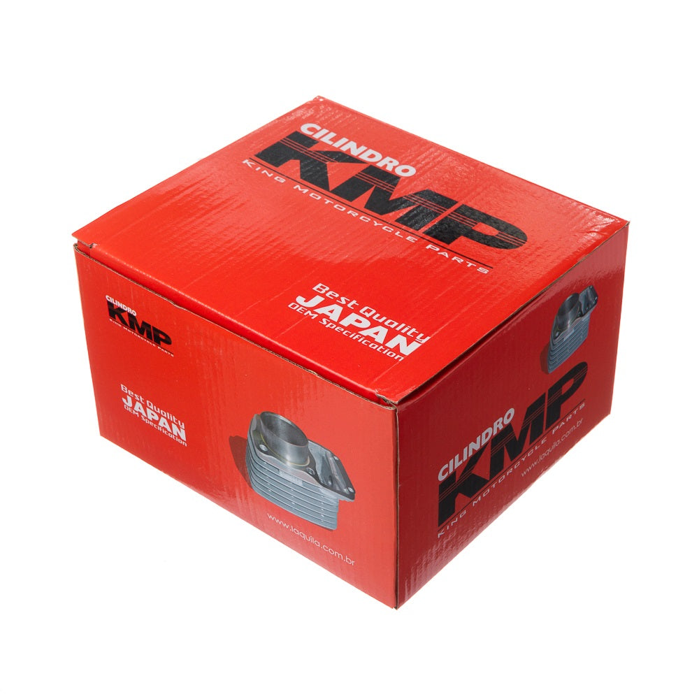 CILINDRO C/CAMISA KMP FAZER 250 06/13 (PRATA)