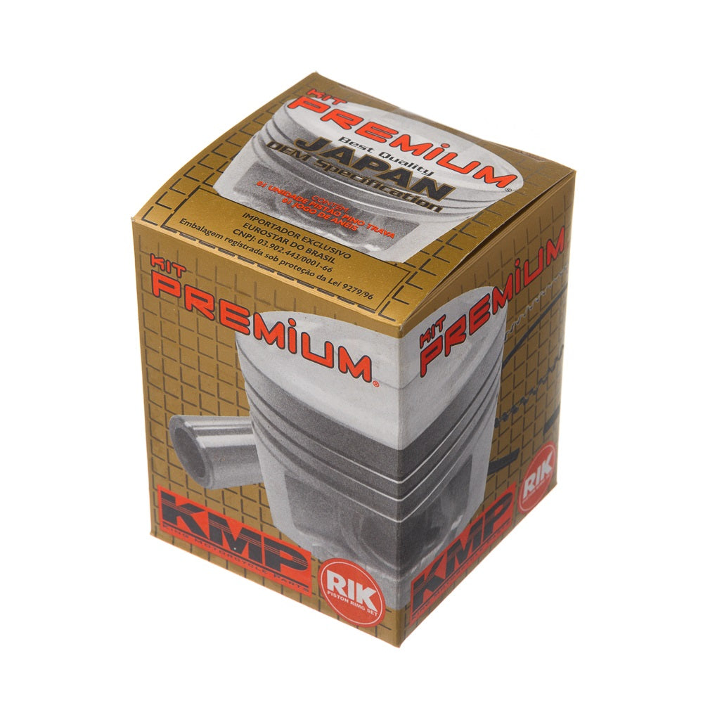 PISTAO KIT C/ANEL RIK PREMIUM FAZER 150 1.00