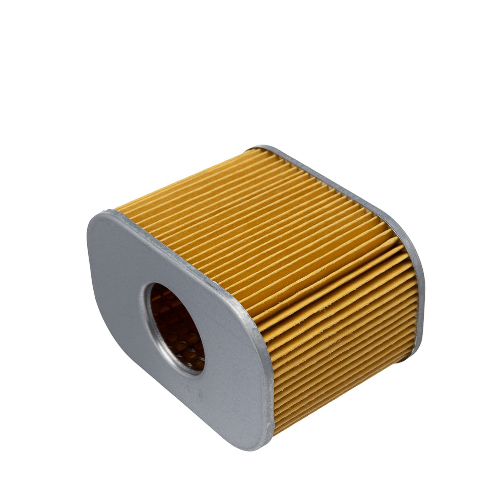 ELEMENTO FILTRO DE AR EKSIM TVS SPORT 110I 22/