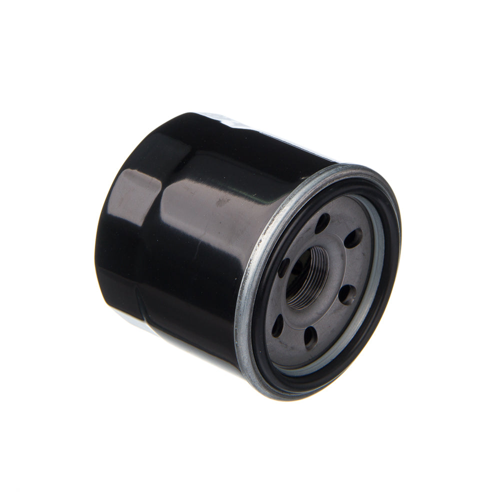 FILTRO DE OLEO EIS SUZ-BANDIT 650S 09-10 BANDIT N1200 04-06